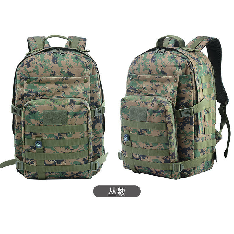 Couleur numérique de la jungle