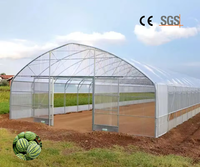 Grande serre agricole verticale à simple travée avec film PE et ventilation latérale et supérieure