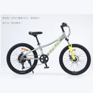 Popular China Factory Direct 20" 22" Inch Steel for Child 7S for Kid Mountain Bike Bicycle