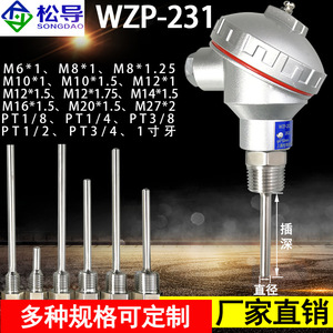 เซ็นเซอร์วัดอุณหภูมิ Pt100 รุ่น WZP-231/230 แบบประกอบสำเร็จพร้อมเกลียว, เทอร์โมคัปเปิลแบบแพลตตินัม Pt100 - Product Image 4