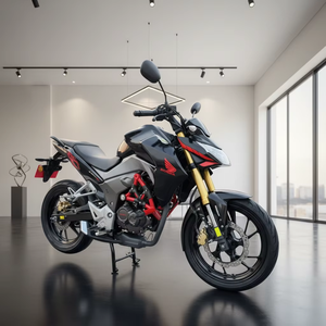 Potenti Motociclette Capaci di Trasportare Merci, Moto Eleganti Pronte per la Consegna Diretta dal Produttore.<span class=keywords><strong>190</strong></span> - Product Image 2