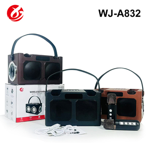 Altoparlante Karaoke Portatile Mini per Bambini con Luce RGB, Due Microfoni Wireless, Audio BT 16W, Batteria per Home Theatre e Canto all'Aperto - Product Image 3