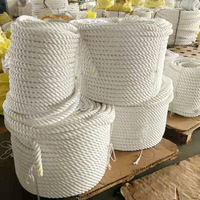 Corde d'amarrage tressée torsadée en polyester 3/4 brins de bateau marin en gros d'usine