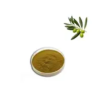 Extracto de hoja de oliva, Olea europaea, Oleuropein, hidroxitirosol