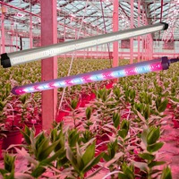 Hangende Groente Led Kweeklamp Voor Vruchtsla Dragon Fruit Patiya Tomaten Komkommers Plant Led Licht 4ft 120W