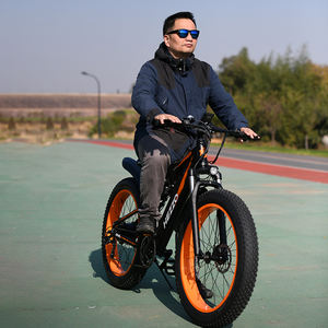 <span class=keywords><strong>Prix</strong></span> de gros empreinte digitale déverrouiller Ebike vélo électrique 1000W moyeu moteur entraînement 48V 21Ah 21700 cellules gros <span class=keywords><strong>pneu</strong></span> hors route vélo - Product Image 6