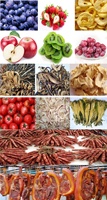 Warmtepomp RVS Energiebesparende Fabrieksprijs Gedroogde Mango Fruit Inktvis Hetelucht Voedsel Dehydrator Machine Fruitdroger