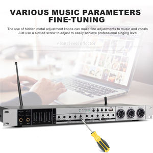 OEM-procesador de Audio Digital REV3800, prereceptor KTV con dos micrófonos, para fiesta en casa, boda y <span class=keywords><strong>Karaoke</strong></span>, gran oferta - Product Image 3