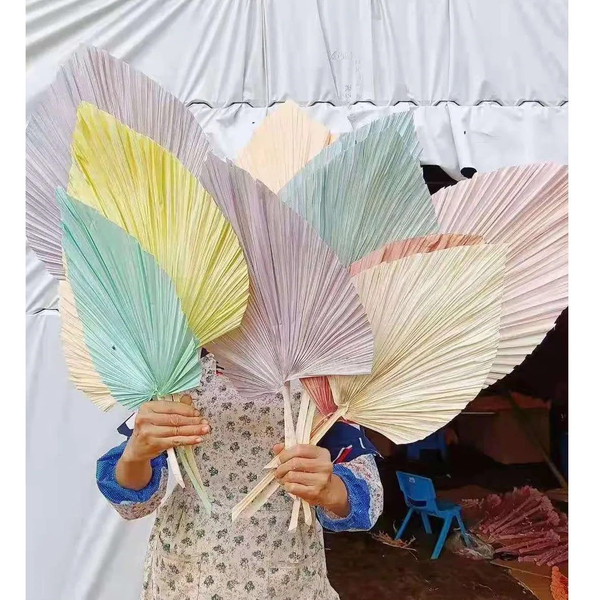 2024 Ins feuille naturelle la plus populaire palmier séché ventilateur feuilles de palmier arte de unas flores secas blanchies petites feuilles de palmier séchées