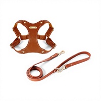 Ensemble laisse et harnais pour chien en cuir véritable de luxe, imperméable, anti-adhérent aux poils, anti-traction, pour chiens de petite et moyenne taille