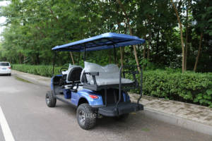 Proveedor Profesional de Carros de Golf, Scooter de Movilidad para Turismo con Batería de Litio de 36/72v, Carro de Golf - Product Image 4