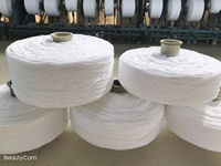 High Tenacity Raw Polypropylene Filter Yarn Acidproof Core Spun Yarn for Water Filter Cartridge