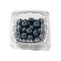 Wegwerp transparante PET voedselveilige dikke clamshell fruitdoos voor blauwe bessen, hamburger, sandwich, noedels, landbouwgebruik C53