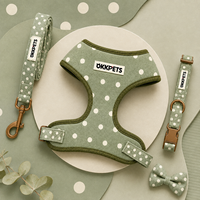 Nouvelle conception 2026 : Ensemble Harnais et Laisse pour Chien Motif Pois Sauge – Fabricant Personnalisé d'Harnais pour Animaux de Compagnie – Ensembles Assortis Collier, Laisse et Harnais – Accessoires pour Chiots