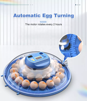Incubateur d'œufs de volaille, usine en chine, Mini incubateur d'œufs à vendre