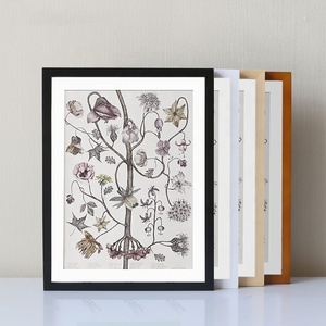 Giá thấp nóng bán trắng đen năm màu 13x19 8x10 6x8 11x14 inch khung Áp phích sơn gỗ cứng khung ảnh - Product Image 1