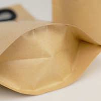 Emballage en papier kraft biodégradable imprimé sur mesure, durable, 500 ml, 1,5 L, pour liquides, boissons, thé, bière, champagne, jus, avec bec verseur