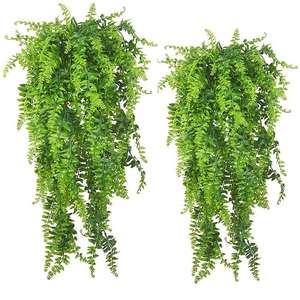 <span class=keywords><strong>ต้นไม้</strong></span>ประดิษฐ์แบบติด<span class=keywords><strong>ผนัง</strong></span> วัสดุหวาย ปรับแต่งได้ เป็นมิตรกับสิ่งแวดล้อม ของตกแต่งบ้านขนาดเล็ก <span class=keywords><strong>ชั้น</strong></span><span class=keywords><strong>วาง</strong></span><span class=keywords><strong>ติด</strong></span><span class=keywords><strong>ผนัง</strong></span>ใบไม้ - Product Image 6