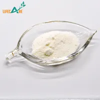 High Quality Branded Food Additive Sodium Ascorbate Powder With Best Price