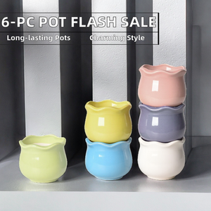 Vaso in Ceramica per Mini <span class=keywords><strong>Piante</strong></span> <span class=keywords><strong>Grasse</strong></span> Stile Europeo - Ideale per Decorazioni da Tavolo per Interni - Product Image 2