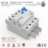 Disjoncteur différentiel industriel 4P à courant résiduel élevé 80-125A, type électromagnétique en cuivre, 30mA 100mA 300mA 500mA, conforme IEC EN61008