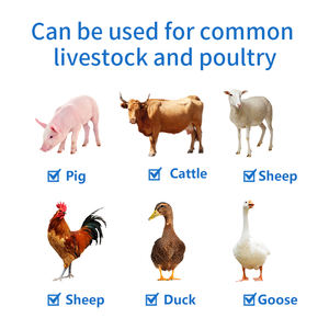 Veterinärkräuter-Flüssiglösung 250ml für Geflügel und Schweine, Mineralien und Spurenelemente in Futtermittelqualität, fördert die Ernährung und gesundes Futter - Product Image 6