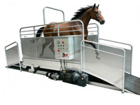 Tapis roulant pour chevaux équins à grande vitesse certifié CE tapis roulant sous l'eau