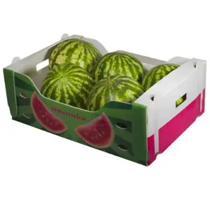 Custom Designs Logo Factory Price Rigid Corrugated Strong Eco Friendly Fresh Watermelon Banana Mango Packing Boxes