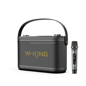 W-KING H10S-altavoz <span class=keywords><strong>hifi</strong></span> DSP de 80W, sonido de calidad Superior, Bluetooth, para guitarra, Karaoke, hogar y <span class=keywords><strong>PC</strong></span> - Product Image 1