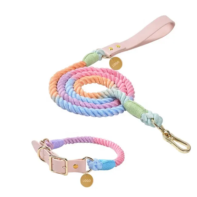 Modernes neuartiges Design Regenbogen Seil Hunde leine Halsband Benutzer definierte verstellbare Vegan Leder Hunde halsband und Leine Set Leder