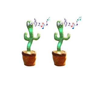 <span class=keywords><strong>Cactus</strong></span> danzante messicano - Product Image 4