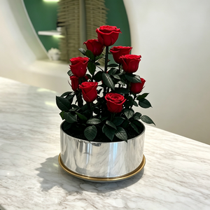 Rosa Eterna Attiva '<span class=keywords><strong>Giardino</strong></span> <span class=keywords><strong>Segreto</strong></span>', Rosa Rossa Conservata, Regalo per Decorazioni Eventi, Festa della Mamma, San Valentino, Natale - Product Image 4