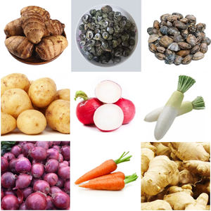 Máquina de Limpieza de Mariscos, Caracoles y Ostras de Alta Eficiencia con Rodillo de Cepillo, Lavadora de Vegetales de Raíz, Máquina de Lavado de Patatas y Calabazas - Product Image 5