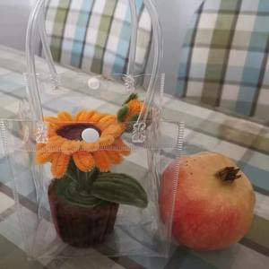 定制Logo促销透明包美容透明塑料礼品化妆品防护Pvc购物化妆包透明手提袋 - Product Image 5