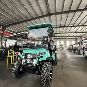 2 + 2 4 plazas Gas Club Car Golf Cart Off Road motor <span class=keywords><strong>de</strong></span> combustible 250 300cc Buggy <span class=keywords><strong>de</strong></span> velocidad rápida - Product Image 6
