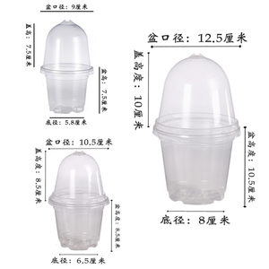 10 pièces/sac Pots de jardinage en PET <span class=keywords><strong>pour</strong></span> semis et <span class=keywords><strong>repiquage</strong></span>, avec dômes d'humidification, 3.5, 4, 5 pouces - Product Image 3