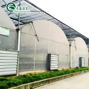 Sera aquaponics topraksız yetiştirme sistemleri