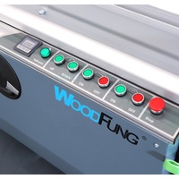 Scie à panneaux horizontale de précision industrielle 3200 mm avec table coulissante pour le travail du bois, moteur haute précision MJ6132CD