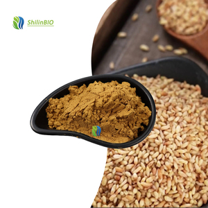 Extracto de Semilla de Ciprés de Alta Calidad 10:1 20:1, Extracto de Semilla de Platycladi en Polvo de Grado Alimenticio - Product Image 1