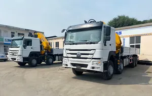 SINOTRUK HOWO 4X2 6X4 8x4 Cargo Truck With 2 3.2 4 6 8 10 12 16 20 25 30Ton Knuckle Boom Crane Truck Mounted