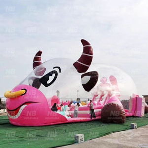 Inflable Comercial Transparente de PVC, Brincolín para Niños, Carpa Burbuja de Cristal, Parque Infantil Interior, Bolas Oceánicas, Parque Inflable Suave - Product Image 6