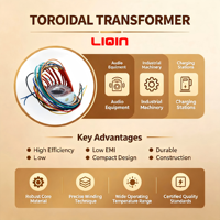 Transformateur de puissance toroïdal monophasé 50W-5000W 110V/120V, compteur de tension de bobine 10kVA, en cuivre pour utilisation haute fréquence
