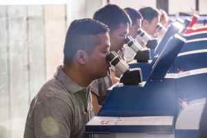 Collar con Colgante de Oro Amarillo de 18K en Forma de Planta, Broche de Doble Uso, Diamante de Alta Calidad, Regalo Diario - Product Image 6