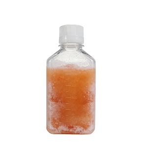 ACE VITRO OEM ป้ายกำกับฟรี เซรั่มวัวในครรภ์ (พรีเมียม) 500 มล. สำหรับสารเคมีในห้องปฏิบัติการสเต็มเซลล์ - Product Image 1