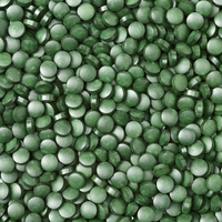 Comprimés de spiruline OEM 500 mg/250 mg riches en protéines végétales, vitamines et prébiotiques, complément sans gluten