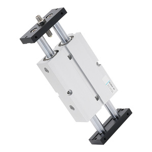 Cylindre pneumatique TNJ à double tige 10/16/20/25/32X20X30X40, course réglable pour l'automatisation industrielle - Product Image 1