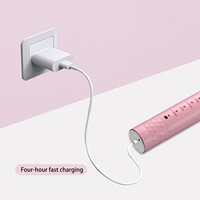 Brosse à dents électrique bon marché et de qualité supérieure en gros, étanche, automatique, pour couples, rechargeable par USB, brosse à dents sonique pour adultes