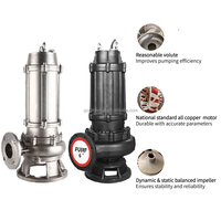 Pompes submersibles portables à faible volume pour eaux usées, série WQ, en acier inoxydable, à prix abordable, avec moteur AC