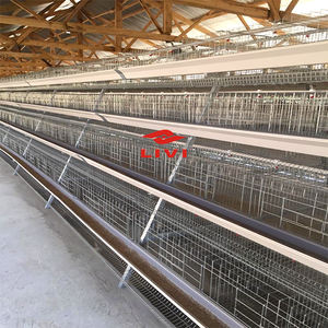 Cages à batterie pour poules pondeuses, capacité de 30 000 couches, <span class=keywords><strong>cage</strong></span> en acier pour animaux, à vendre au Nigéria, en Ouganda, ferme avicole - Product Image 6