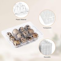 Boîte d'emballage pour œufs de caille en plastique PET transparent à 12 trous, prix d'usine, plateau en plastique pour œufs de caille